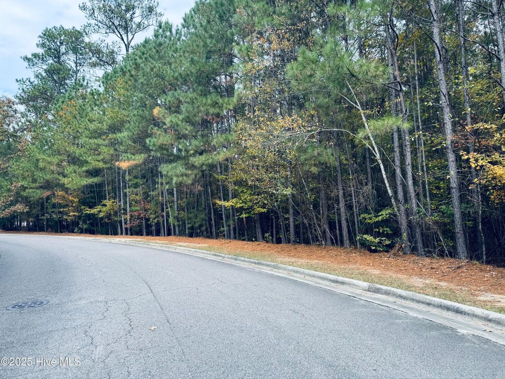 Photo of 1 Kenilwood Court, Pinehurst, NC 28374 (MLS # 100539251)