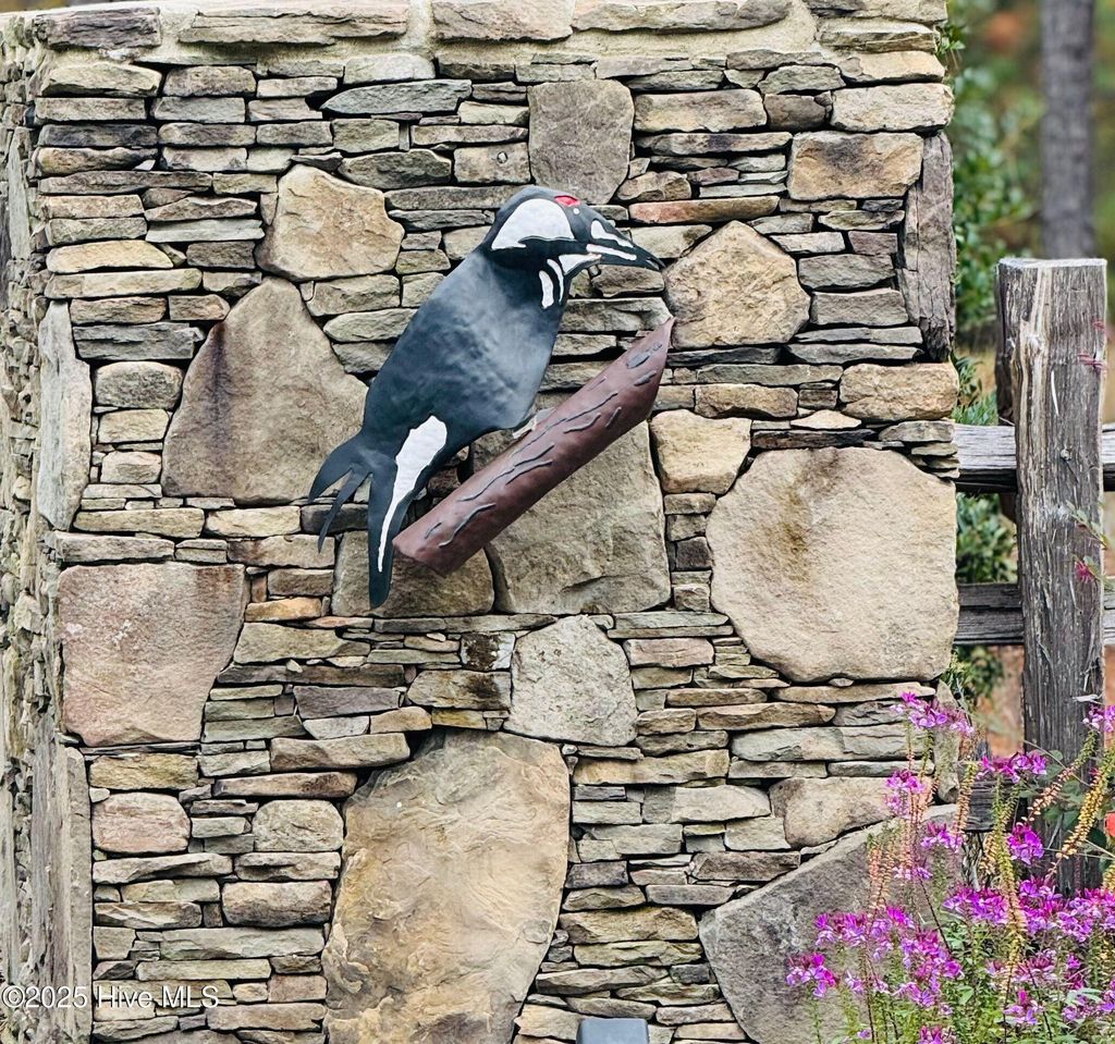 Photo of 1 Kenilwood Court, Pinehurst, NC 28374 (MLS # 100539251)