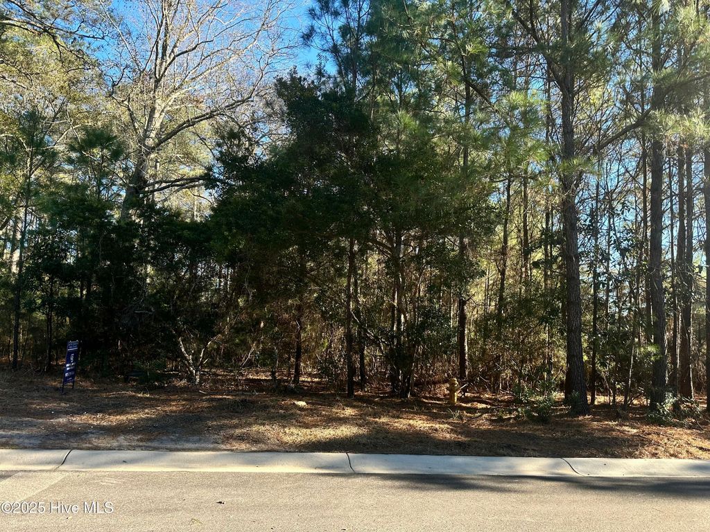 Photo of 6073 Martinique Street SW, Shallotte, NC 28470 (MLS # 100459758)