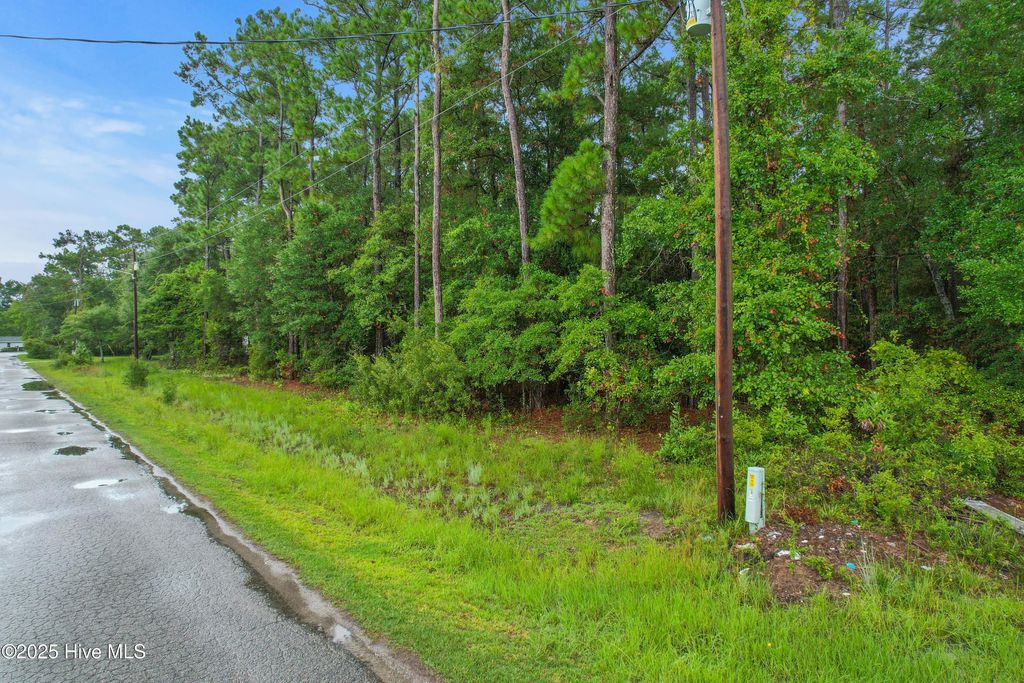 Photo of 2820 Paul Andrew Street SW, Supply, NC 28462 (MLS # 100525027)