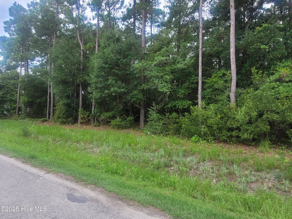 Photo of 2820 Paul Andrew Street SW, Supply, NC 28462 (MLS # 100525027)