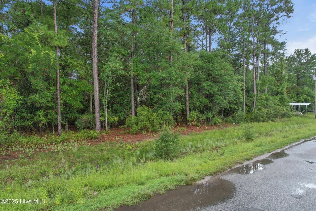 Photo of 2820 Paul Andrew Street SW, Supply, NC 28462 (MLS # 100525027)