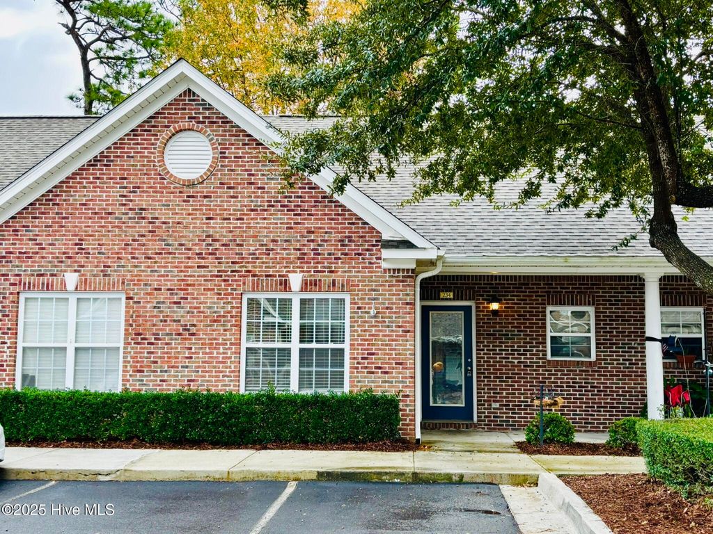 Photo of 234 Hibiscus Way, Wilmington, NC 28412 (MLS # 100539375)