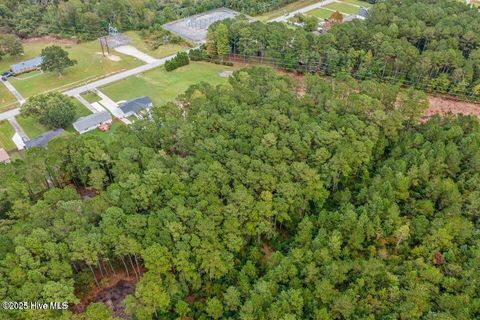 Tiny photo for 2590 Wilmington Highway, Jacksonville, NC 28540 (MLS # 100542192)