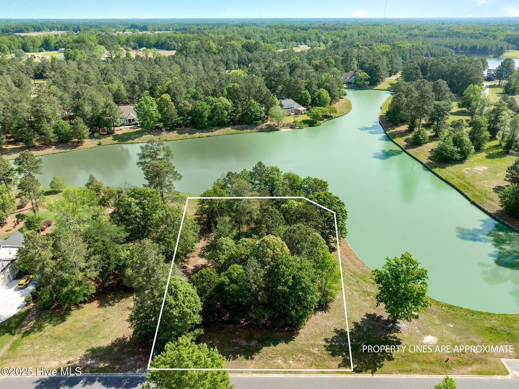 Photo of 126 Muscadine Trail, Wallace, NC 28466 (MLS # 100503887)