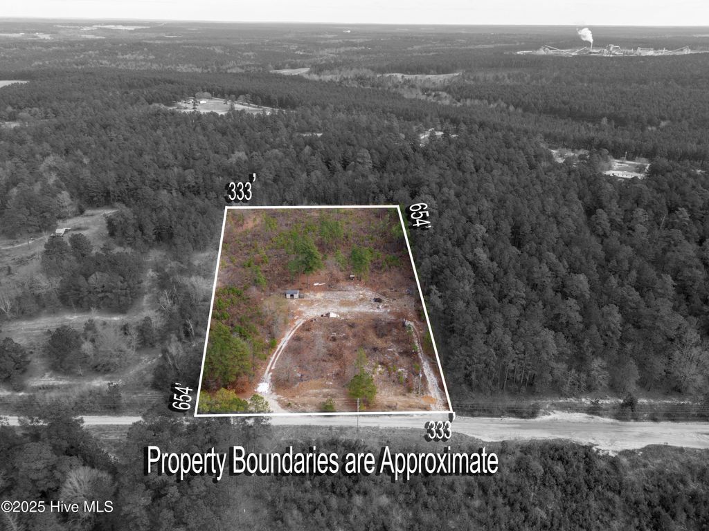 Photo of 342 Ponderosa Drive, Hamlet, NC 28345 (MLS # 100544039)