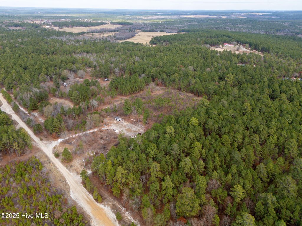 Photo of 342 Ponderosa Drive, Hamlet, NC 28345 (MLS # 100544039)