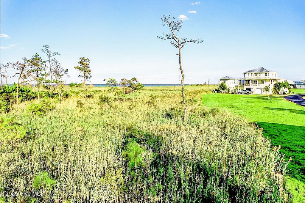 Photo of 470 Ballast Point, Oriental, NC 28571 (MLS # 100464019)