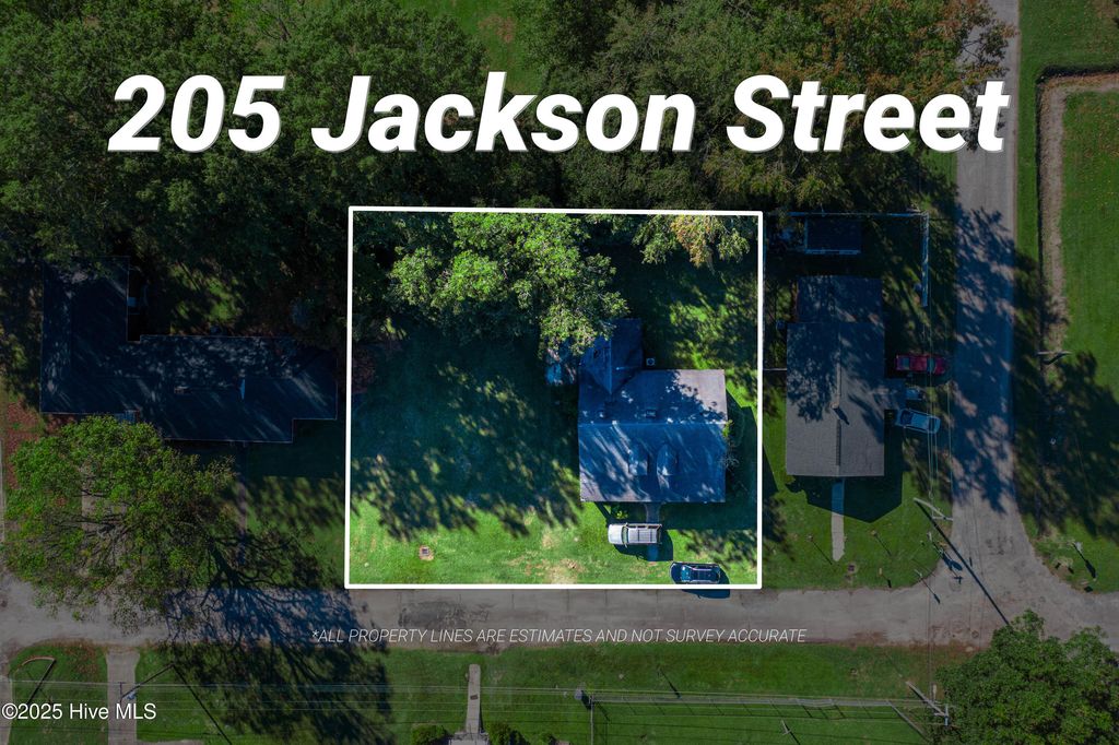 Photo of 205 Jackson Street, Fairmont, NC 28340 (MLS # 100537380)
