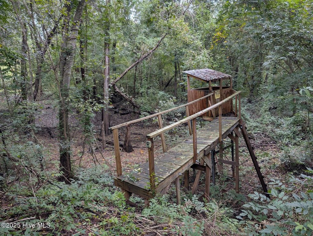 Photo of 00 State Road 1300, Trenton, NC 28585 (MLS # 100536674)