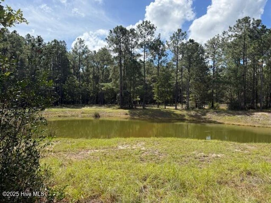 Photo of 3069 Sounding Street SE, Bolivia, NC 28422 (MLS # 100534416)