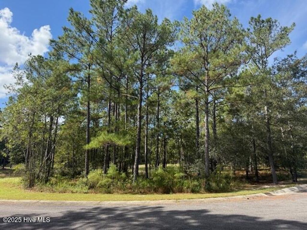 Photo of 3069 Sounding Street SE, Bolivia, NC 28422 (MLS # 100534416)