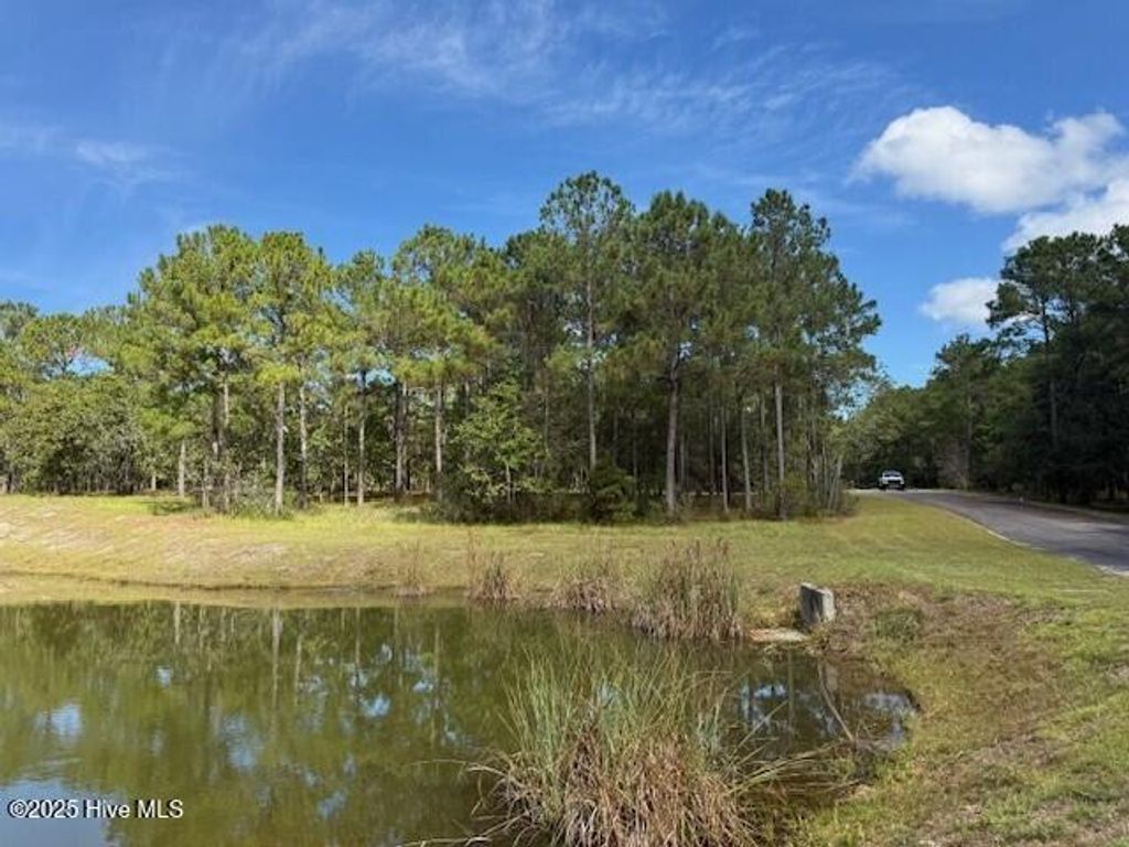 Photo of 3069 Sounding Street SE, Bolivia, NC 28422 (MLS # 100534416)