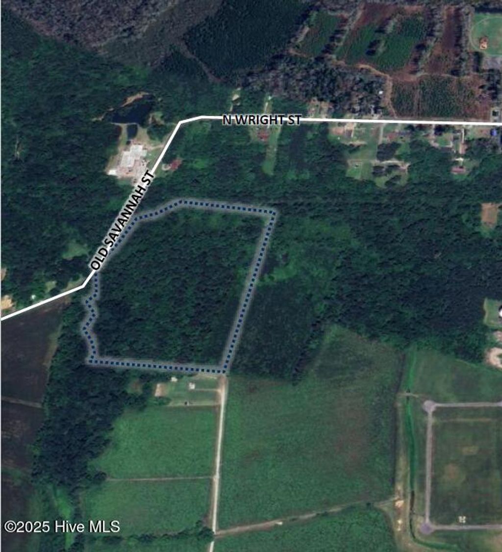 Photo of 1 Old Savannah Road S, Burgaw, NC 28425 (MLS # 100507937)