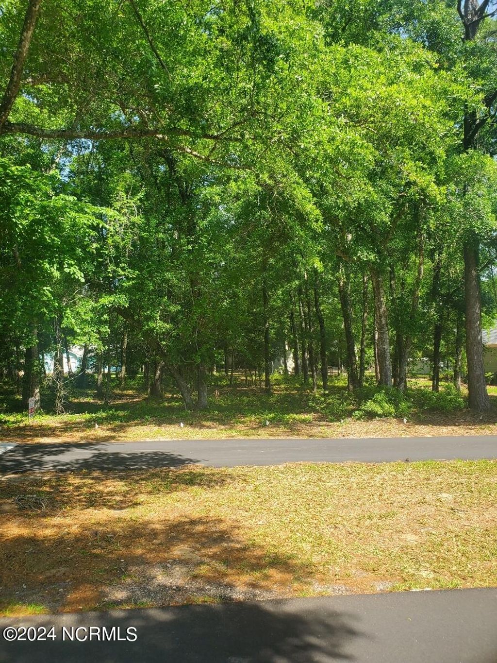 Photo of 9110 Ocean Harbour Golf Club Road SW, Calabash, NC 28467 (MLS # 100441519)
