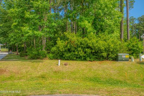 Tiny photo for 111 Sea Turtle Cove, Sneads Ferry, NC 28460 (MLS # 100540881)