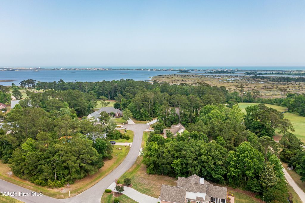 Photo of 111 Sea Turtle Cove, Sneads Ferry, NC 28460 (MLS # 100540881)