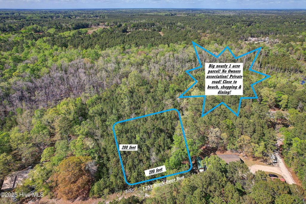 Photo of 1251 Black Bear Run SW, Supply, NC 28462 (MLS # 100509502)