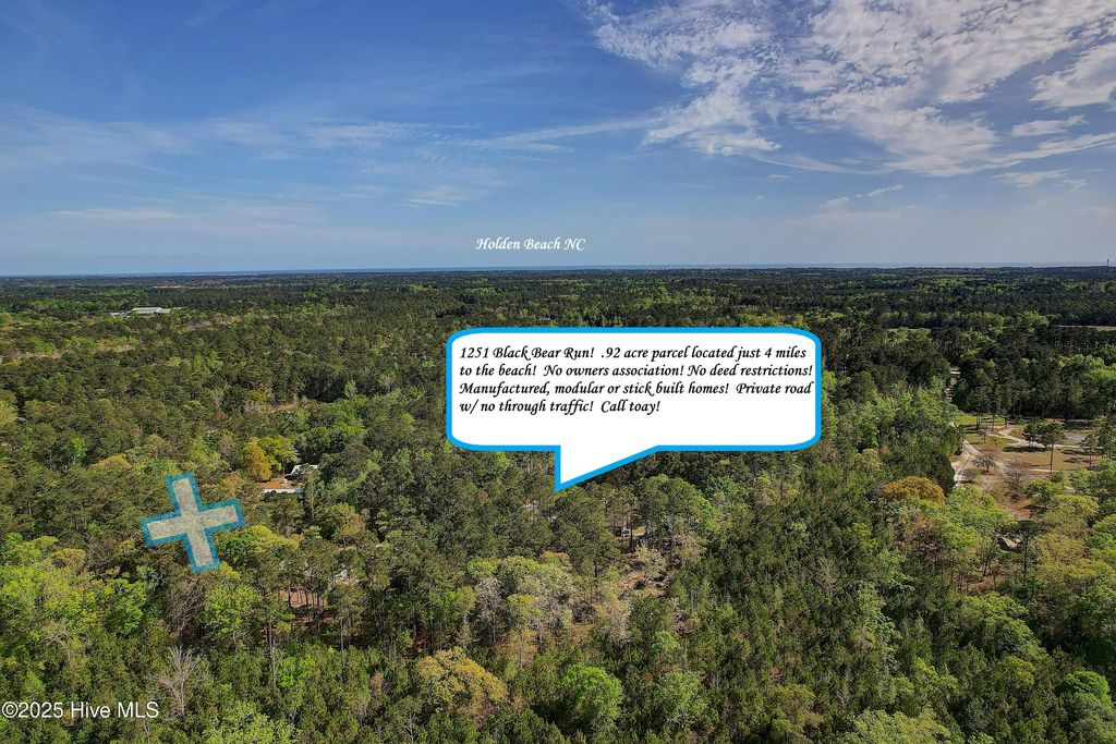 Photo of 1251 Black Bear Run SW, Supply, NC 28462 (MLS # 100509502)