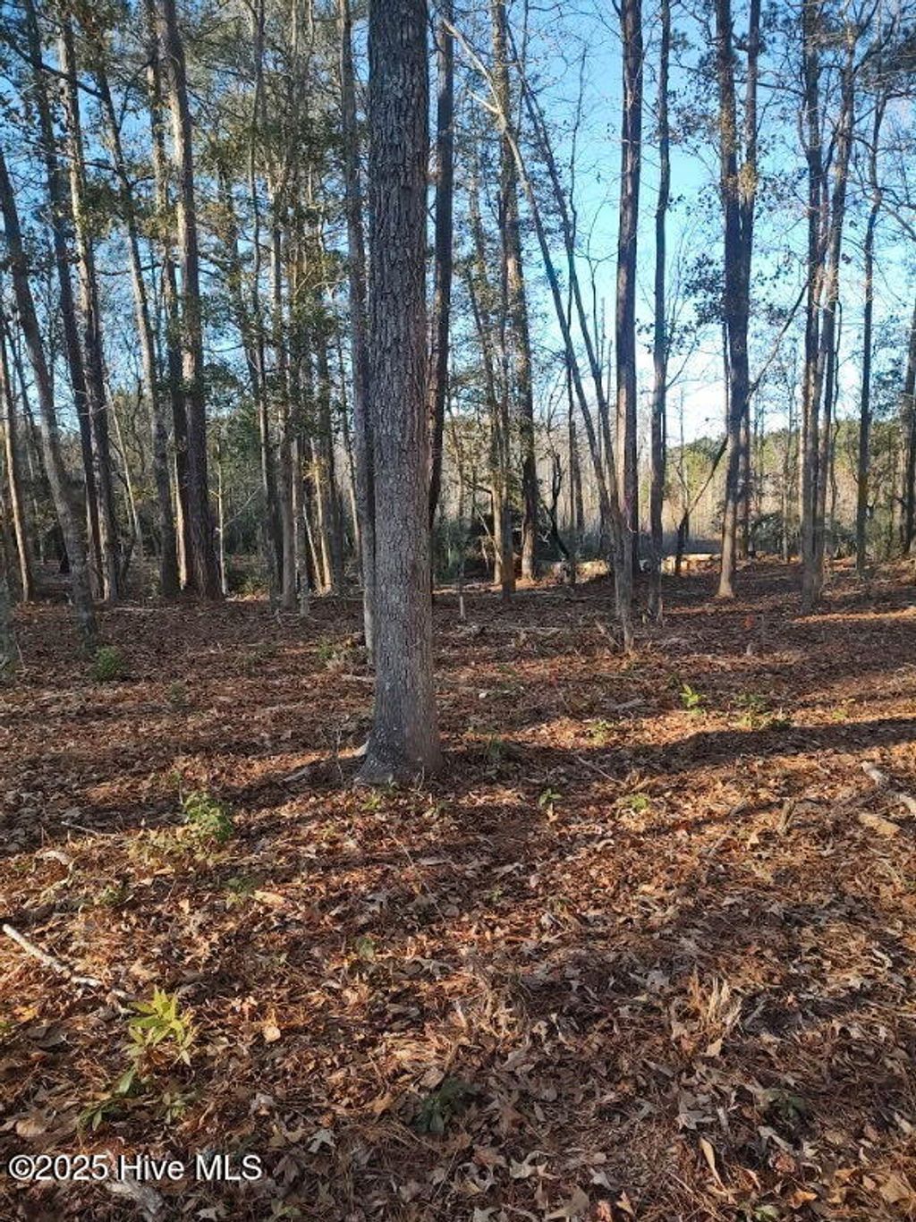 Photo of 1251 Black Bear Run SW, Supply, NC 28462 (MLS # 100509502)