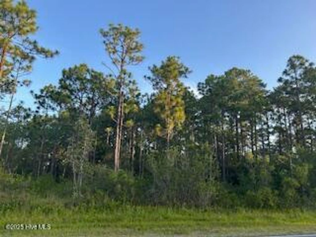 Photo of 365366 Drayton Road, Boiling Spring Lakes, NC 28461 (MLS # 100519847)