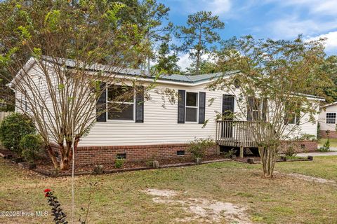 Tiny photo for 132 Topsail Lake Drive, Hampstead, NC 28443 (MLS # 100534204)