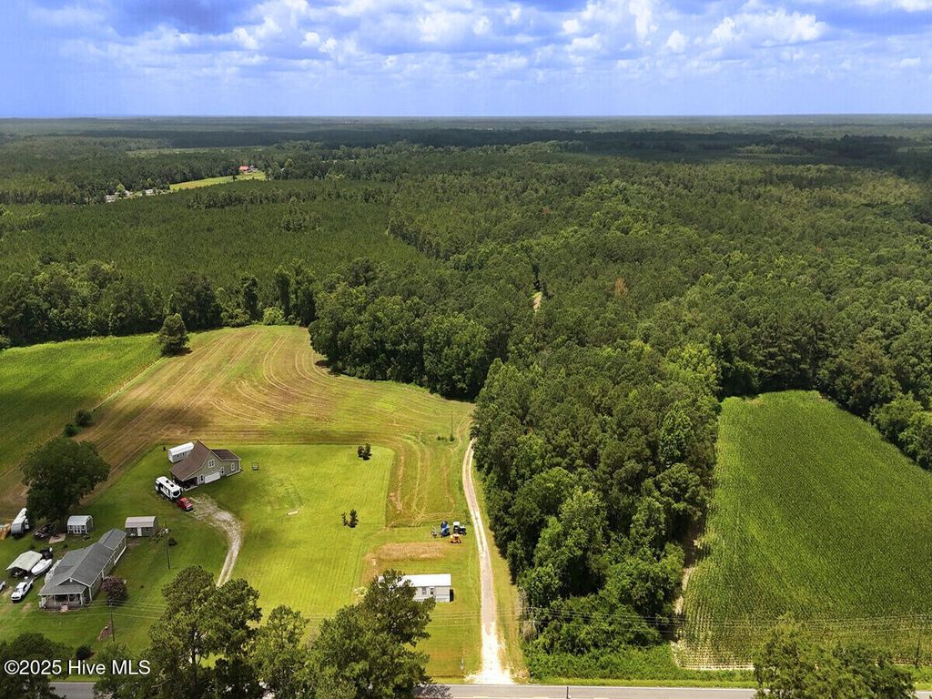 Photo of 481 Nine Mile Road, Maple Hill, NC 28454 (MLS # 100516875)