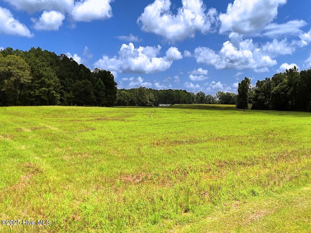 Photo of 481 Nine Mile Road, Maple Hill, NC 28454 (MLS # 100516875)