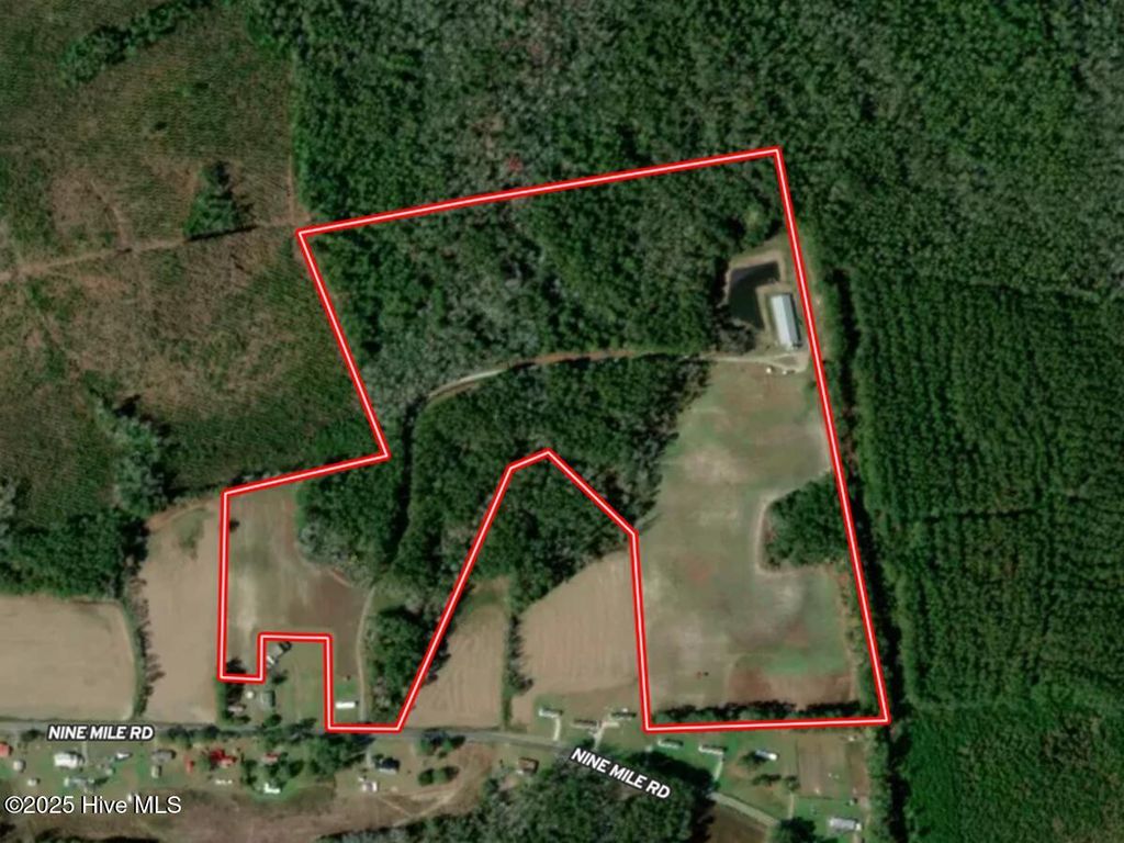 Photo of 481 Nine Mile Road, Maple Hill, NC 28454 (MLS # 100516875)