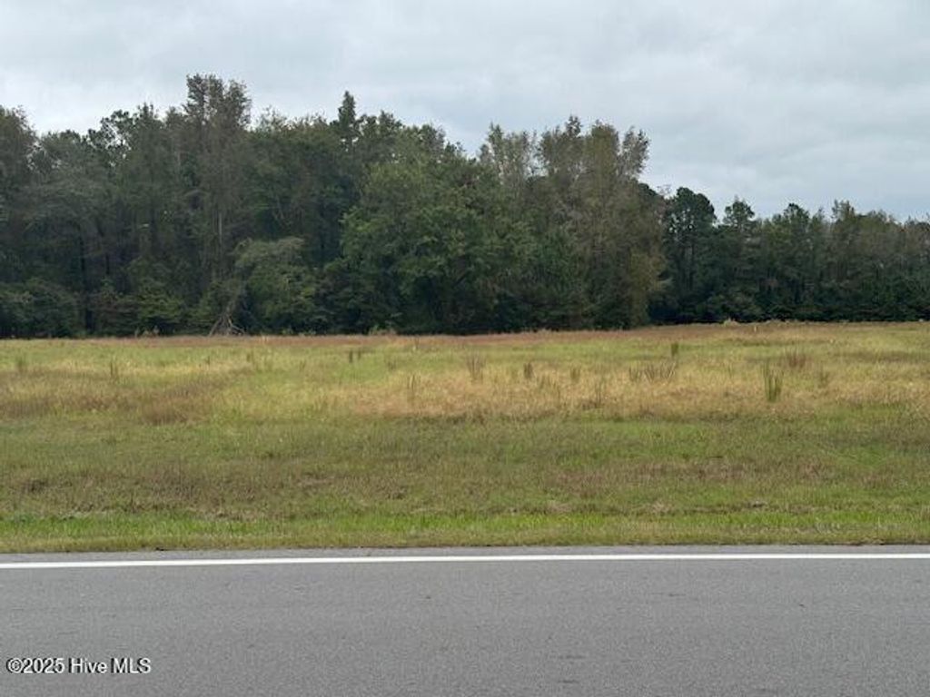 Photo of 5570 River Road, Vanceboro, NC 28586 (MLS # 100535977)