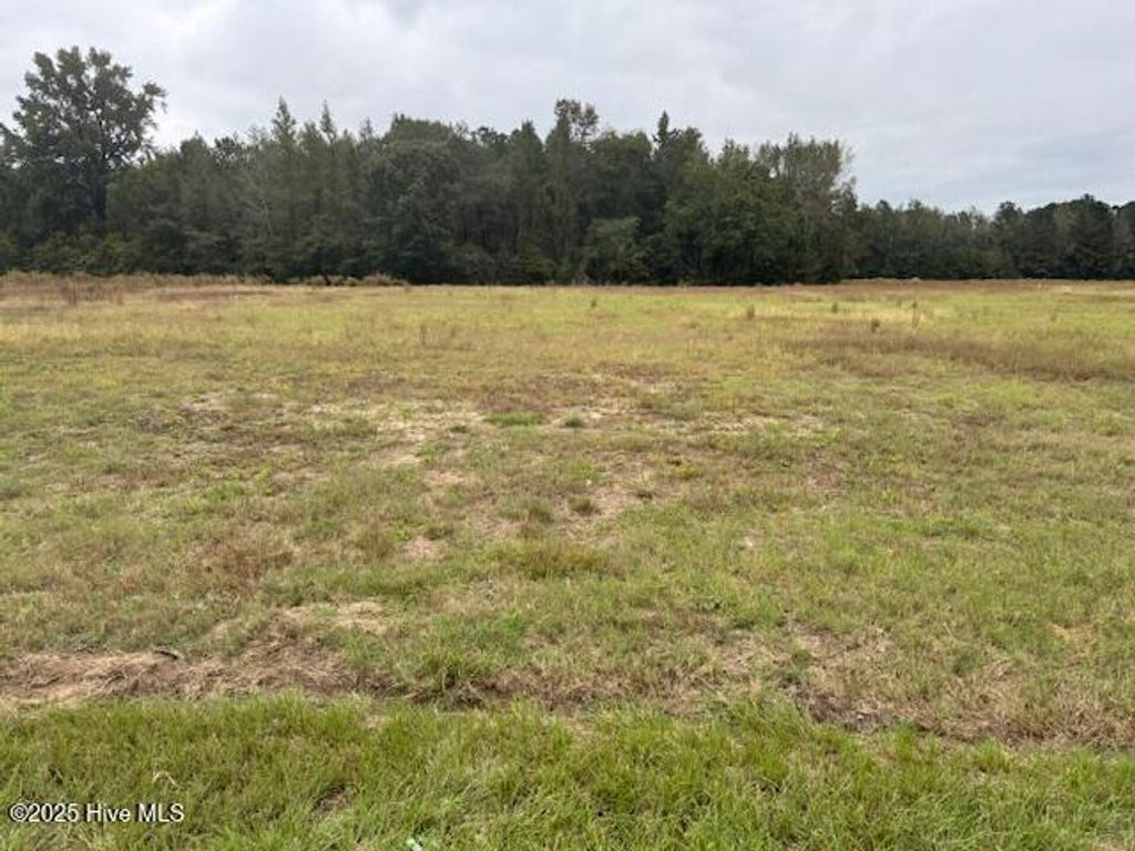 Photo of 5570 River Road, Vanceboro, NC 28586 (MLS # 100535977)