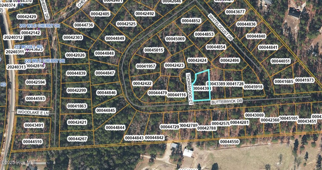 Photo of Tbd Thornwood Court, Vass, NC 28394 (MLS # 100539057)