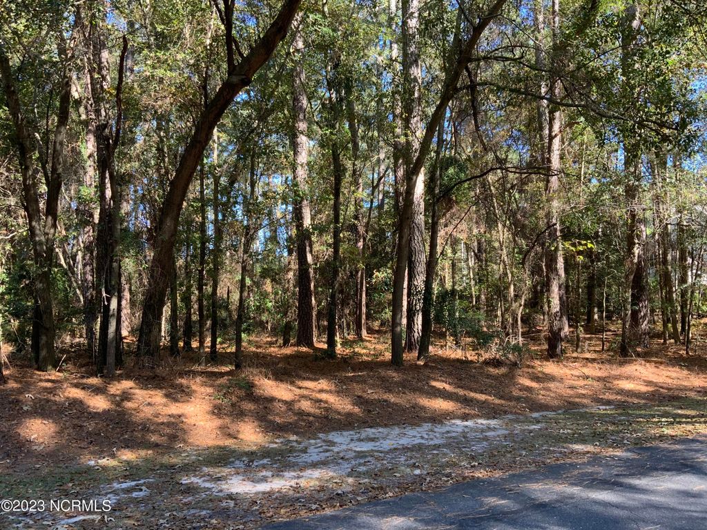 Photo of 815 Mill Road, Goldsboro, NC 27534 (MLS # 100492387)