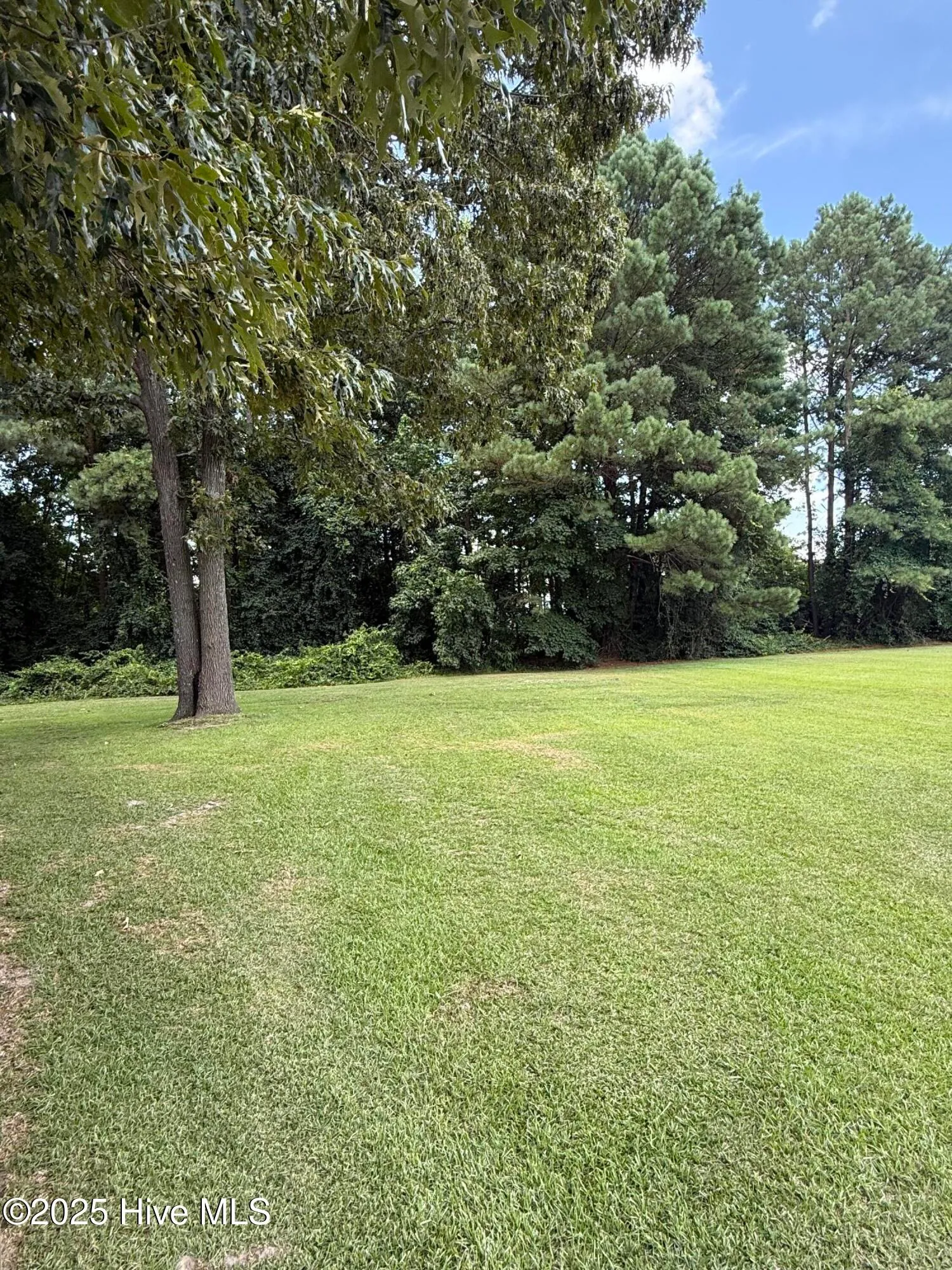 Goldsboro, North Carolina 27530, United States, 3 Bedrooms Bedrooms, ,3 BathroomsBathrooms,Residential,Active,168159