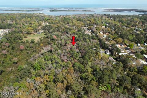 Tiny photo for 7404 Myrtle Grove Road, Wilmington, NC 28409 (MLS # 100499431)