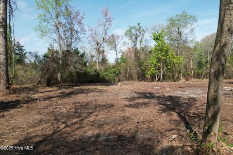 Tiny photo for 7404 Myrtle Grove Road, Wilmington, NC 28409 (MLS # 100499431)