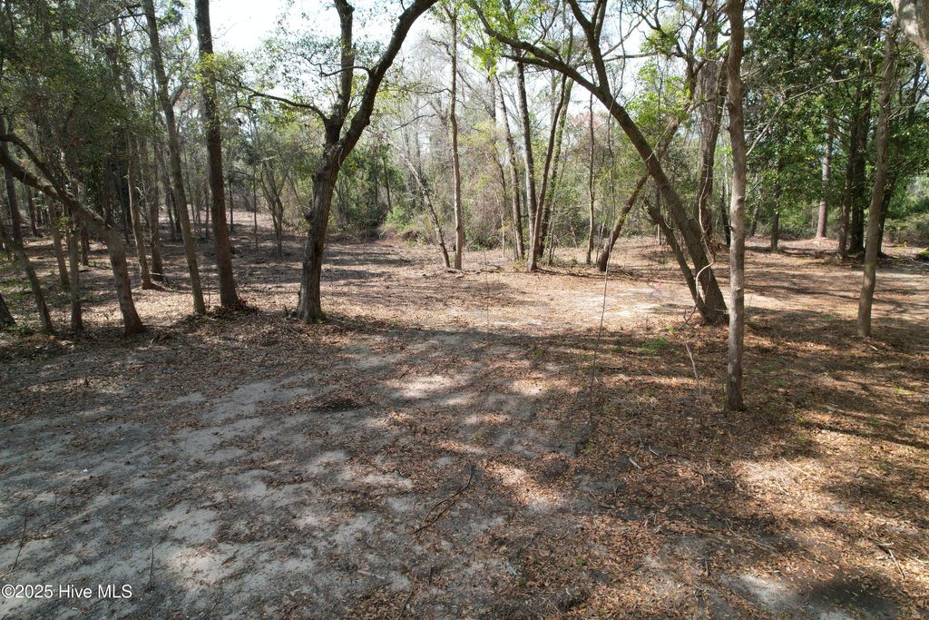 Photo of 7404 Myrtle Grove Road, Wilmington, NC 28409 (MLS # 100499431)