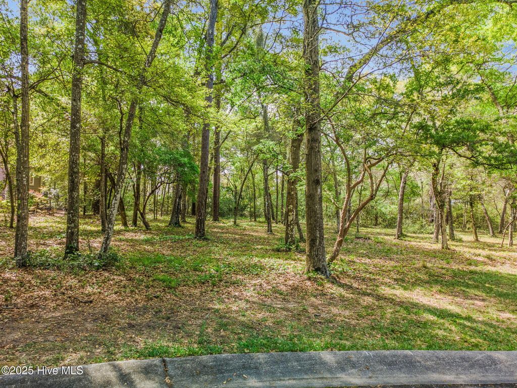 Photo of 3509 Chalmette Drive, Supply, NC 28462 (MLS # 100500940)