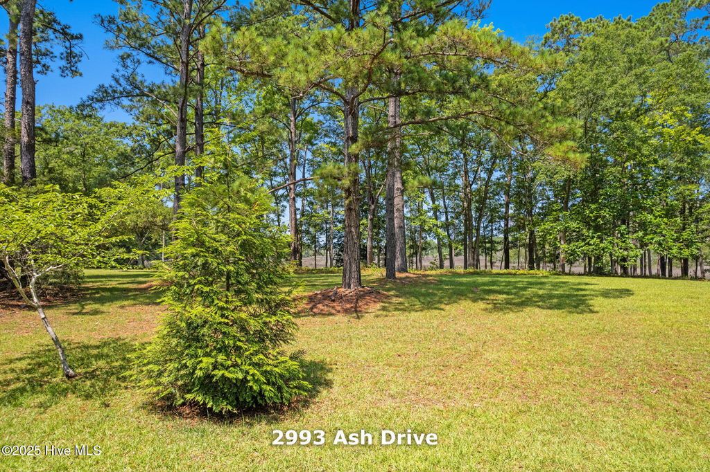 Photo of 2993 Ash Drive SW, Shallotte, NC 28470 (MLS # 100516617)