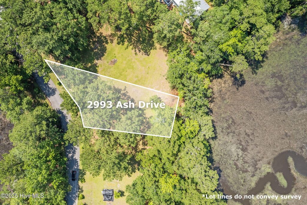 Photo of 2993 Ash Drive SW, Shallotte, NC 28470 (MLS # 100516617)