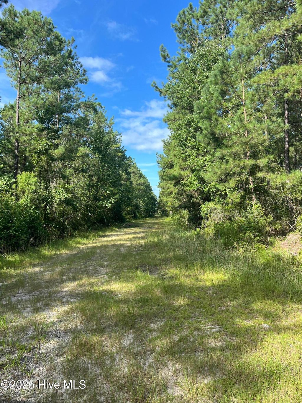 Photo of 0 Herrings Chapel Road, Rocky Point, NC 28457 (MLS # 100522185)
