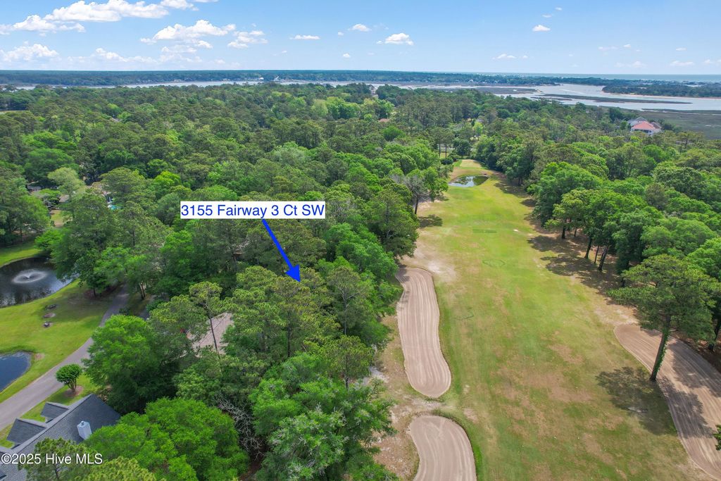 Photo of 3155 Fairway 3 Court SW, Supply, NC 28462 (MLS # 100505612)