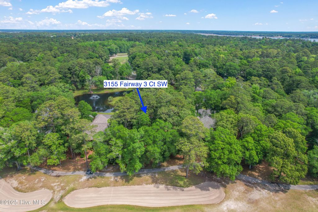 Photo of 3155 Fairway 3 Court SW, Supply, NC 28462 (MLS # 100505612)