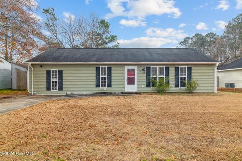 A home in Jacksonville