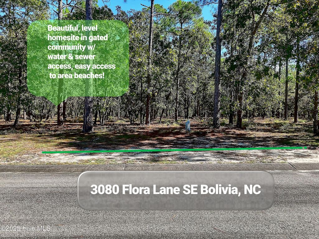 Photo of 3080 Flora Lane SE, Bolivia, NC 28422 (MLS # 100541087)