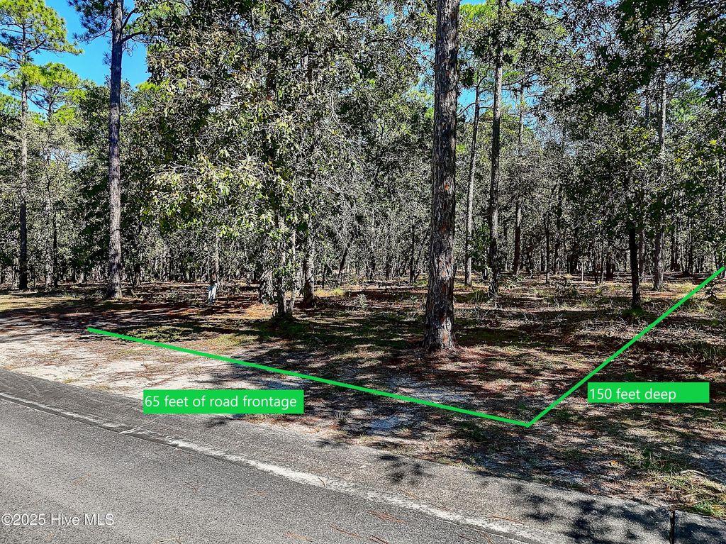 Photo of 3080 Flora Lane SE, Bolivia, NC 28422 (MLS # 100541087)