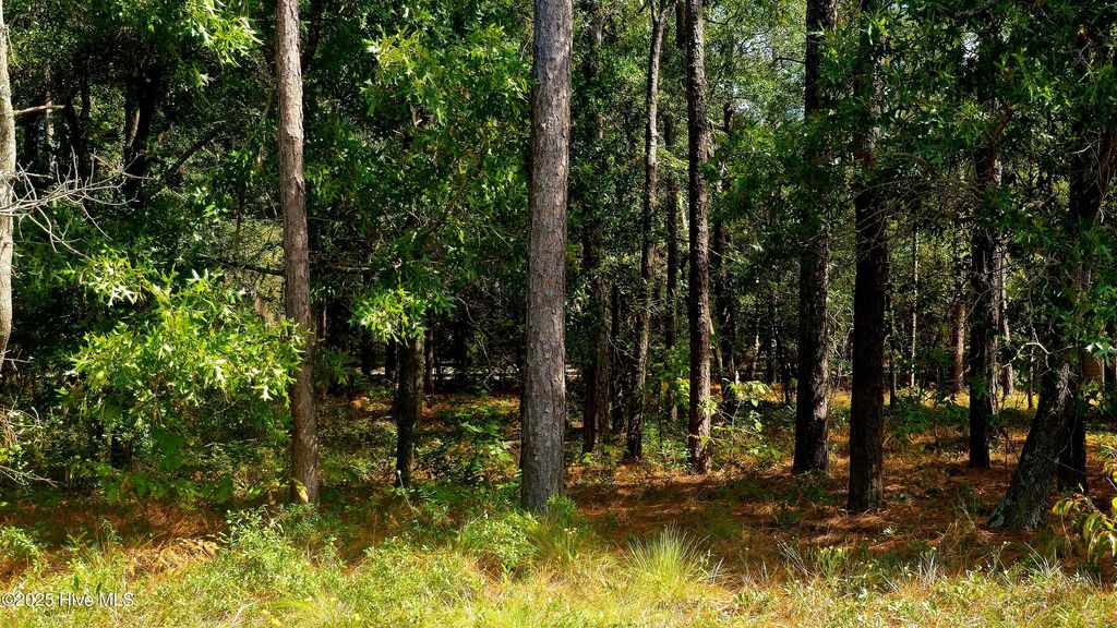 Photo of 3510 Tarpon Court SE, Bolivia, NC 28422 (MLS # 100533766)