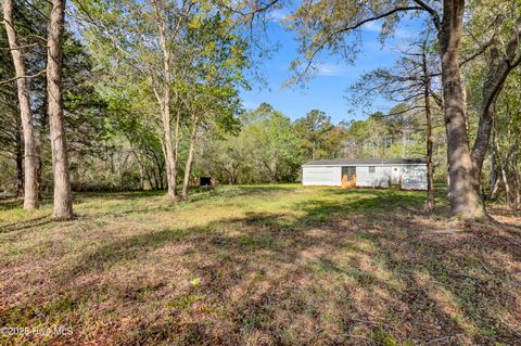 Tiny photo for 114 Deer Road, Hubert, NC 28539 (MLS # 100535870)