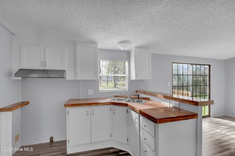 Tiny photo for 114 Deer Road, Hubert, NC 28539 (MLS # 100535870)