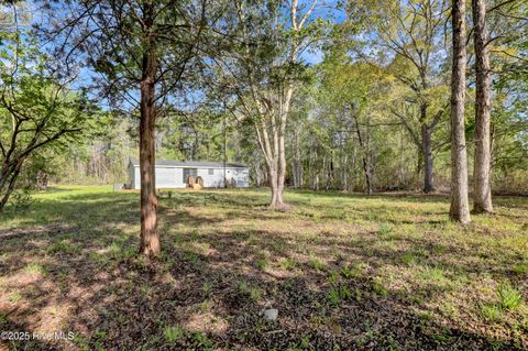 Tiny photo for 114 Deer Road, Hubert, NC 28539 (MLS # 100535870)